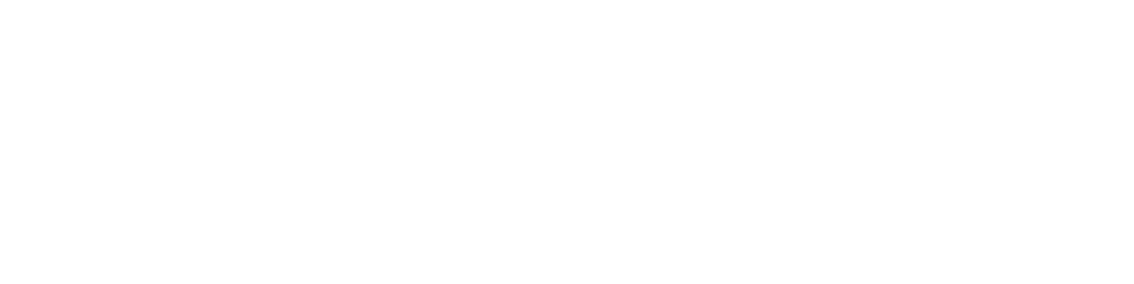 Danielsylla.nl Wit