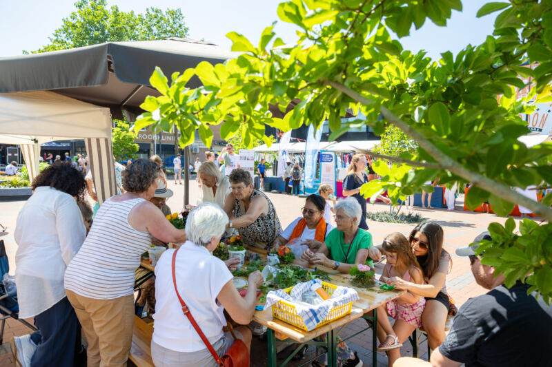 Lely Connect Festival 2026 — 20260620_135006_DanielSylla_Lely Connect 2026_6542