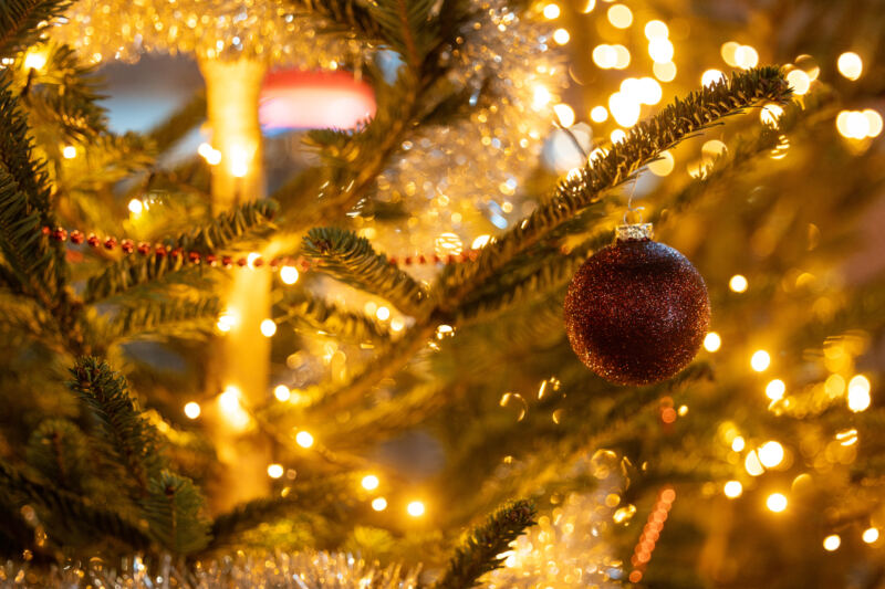 Waterman Kerstevent 2025 — 20251212_153910_DanielSylla_Waterman Kerstevent 2025_6222