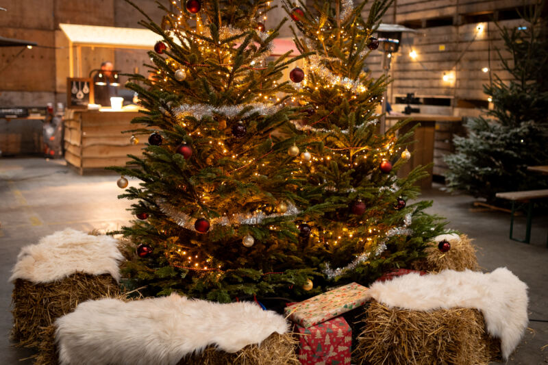 Waterman Kerstevent 2025 — 20251212_155037_DanielSylla_Waterman Kerstevent 2025_3881